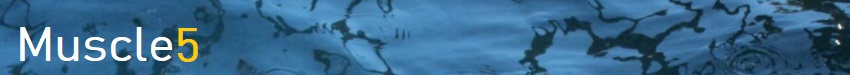banner image