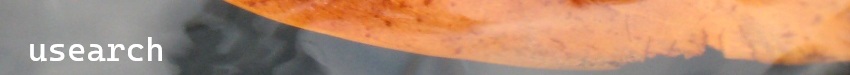 banner image
